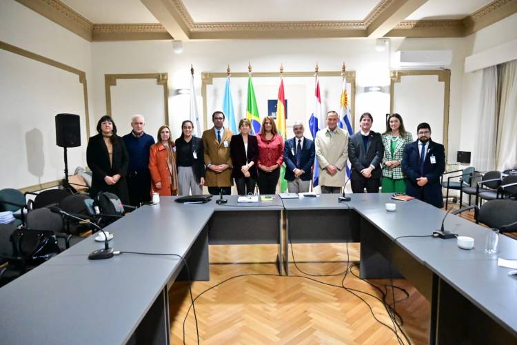 PARLASUR recomienda el uso de recursos del FOCEM para paliar el estado de calamidad en Rio Grande del Sur