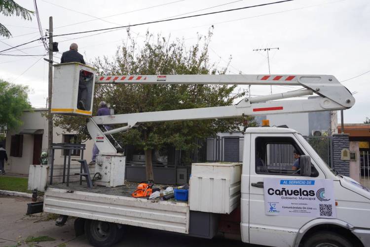 Se dio comienzo a la poda del arbolado público urbano en Cañuelas