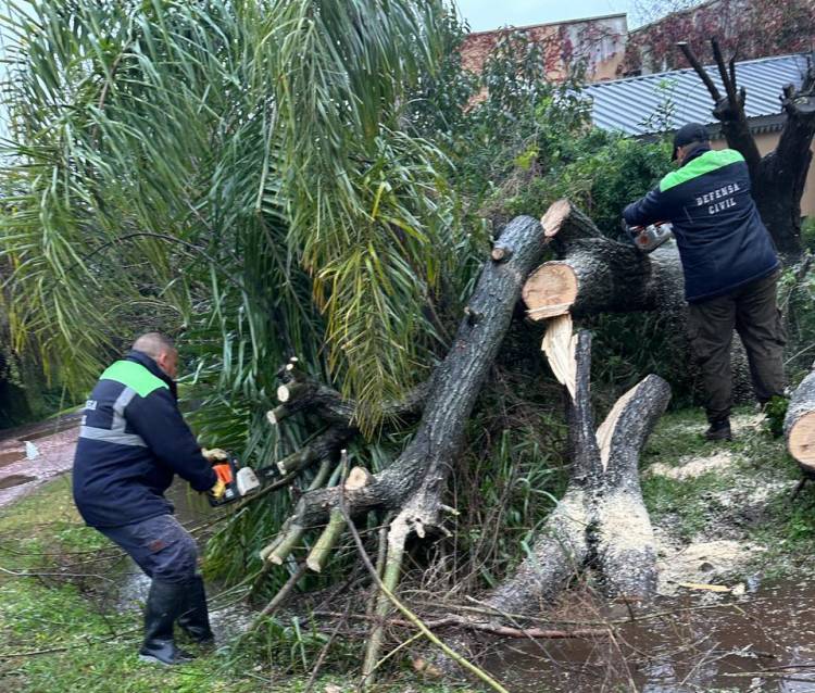 ACCIONES MUNICIPALES ANTE EL TEMPORAL