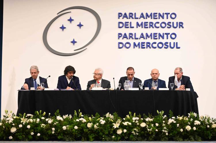 El PARLASUR reafirmó la importancia de la causa Malvinas para el MERCOSUR