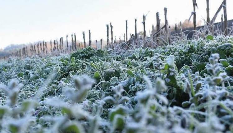 Nevó en la provincia de Buenos Aires ante la llegada de la ola polar
