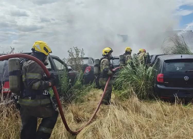 Cañuelas: un incendio arrasó con un depósito de autos a metros de la Ruta 205