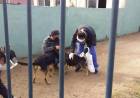 Vacunación antirrábica en el barrio Libertad