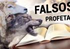 Reflexiones de domingo sobre los falsos profetas
