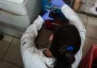 La PFA desarticuló en Cañuelas y Martín Coronado una banda criminal que comercializaba aceite adulterado