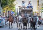 Multitudinario cierre de una nueva edición de "Tiempo de Gauchos" en Cañuelas.