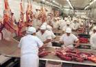 La hacienda ahora cae fuerte y la baja llegaría a las carnicerías la próxima semana