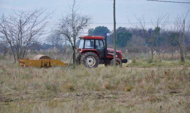 Esquema de higiene y restauración de espacios públicos
