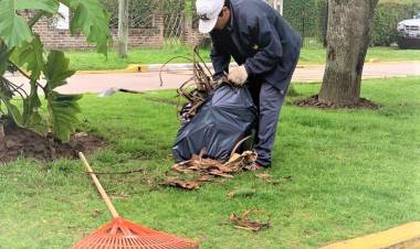 Comienzo de semana con la activación del plan de mantenimiento
