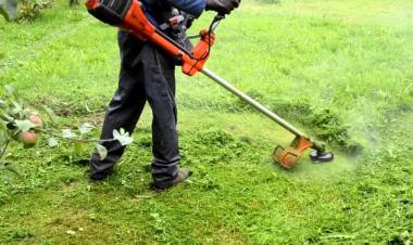 Se reglamentó la actividad de parqueros y pileteros