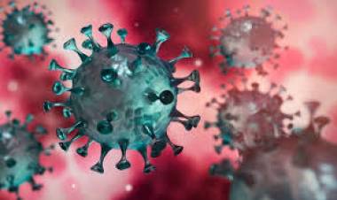 MAÑANA EL CORONAVIRUS ALCANZARÁ EL MILLÓN DE VÍCTIMAS