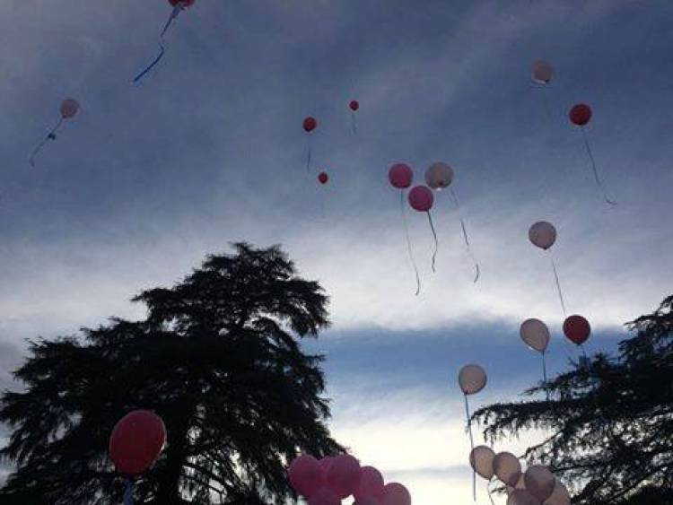 “#NiUnaMenos” y el día después