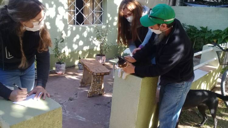 Comenzó la vacunación antirrábica a domicilio