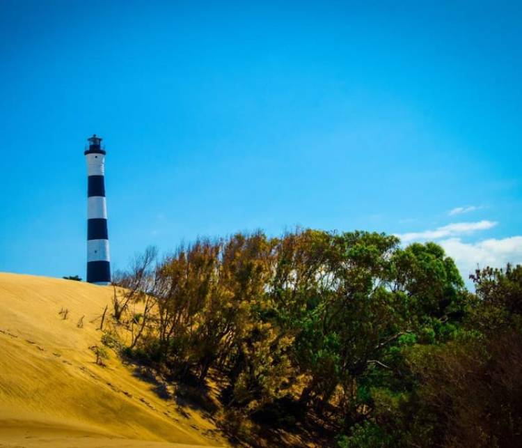 En el Día Mundial del Medio Ambiente  proponen conocer nuestra provincia