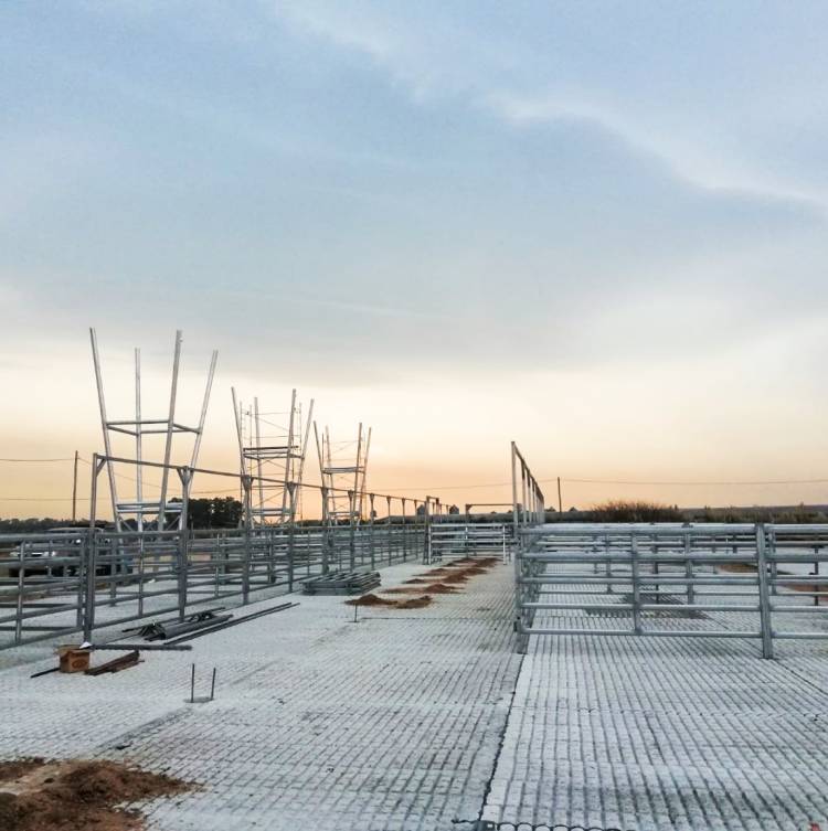 Conflicto gremial en el mercado de Liniers: "Si no entramos en Cañuelas, no entran en Mataderos"
