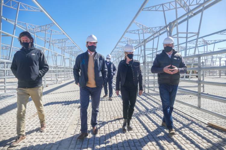 Recorrida por el Mercado Agroganadero