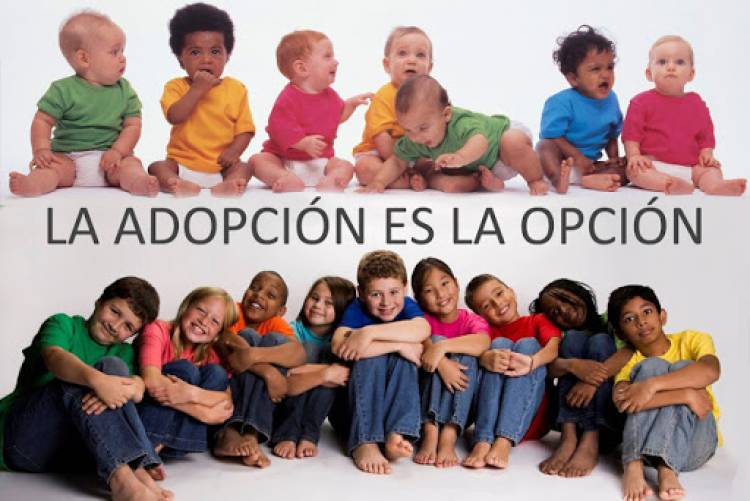 Capacitación para adopciones