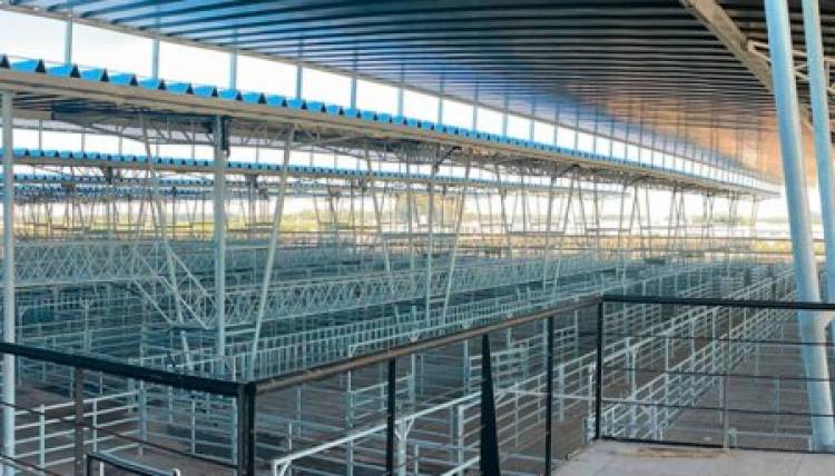 Adelantan que la apertura del MAG será para marzo