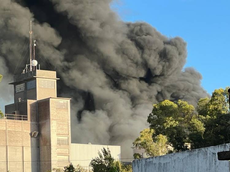  Comunicado de Molino Cañuelas sobre el infernal incendio