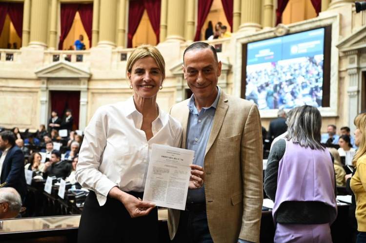 Diputados aprobó y giró al Senado la creación de la Universidad Nacional de la Cuenca del Salado