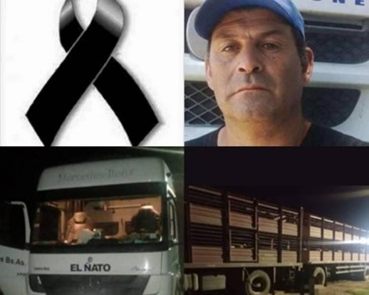 Camionero cañuelense perdió la vida mientras cargaba chanchos