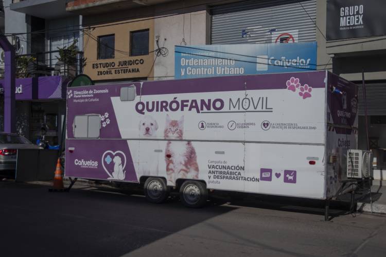Se castraron 50 animales en un nuevo operativo municipal de Zoonosis